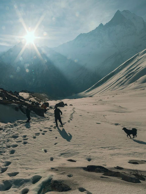 Annapurna Trekking