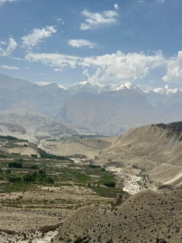 Mustang Trekking