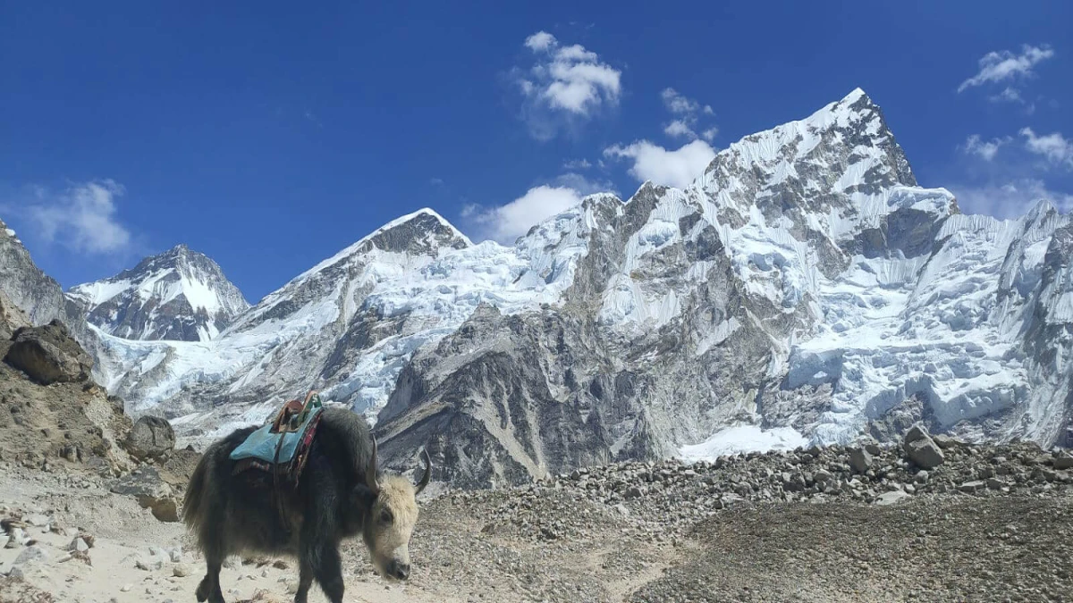 Everest Base Camp Trek by Road - 18 Days