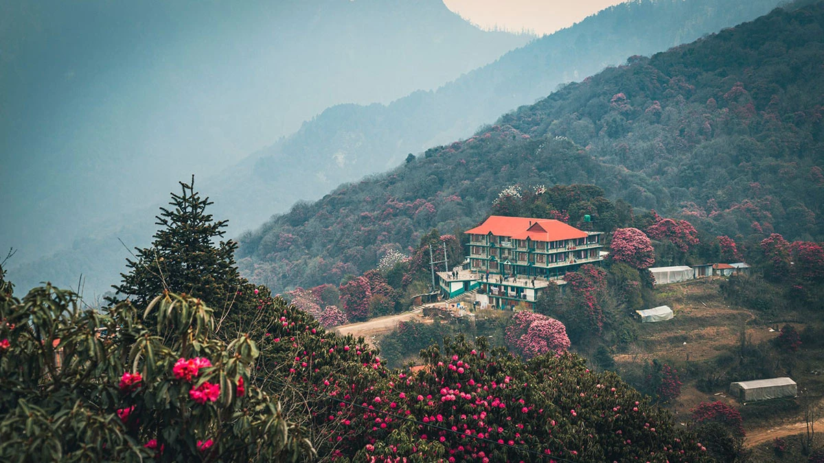 Ghorepani Poon Hill Sunrise Trek