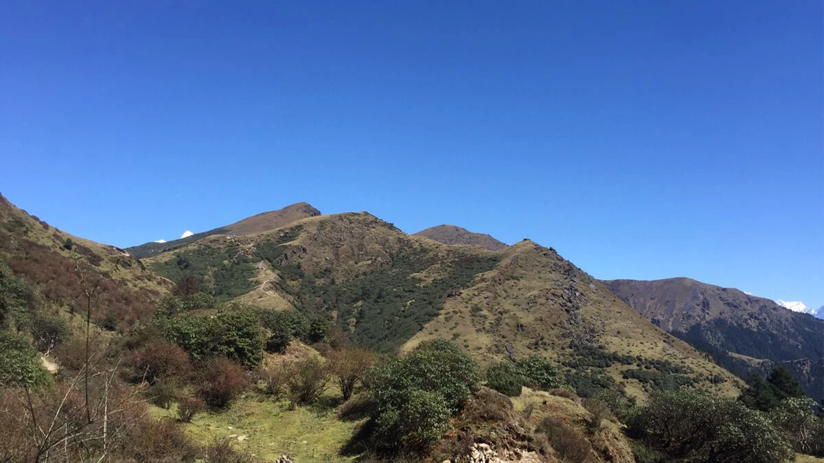Pikey Peak Trek