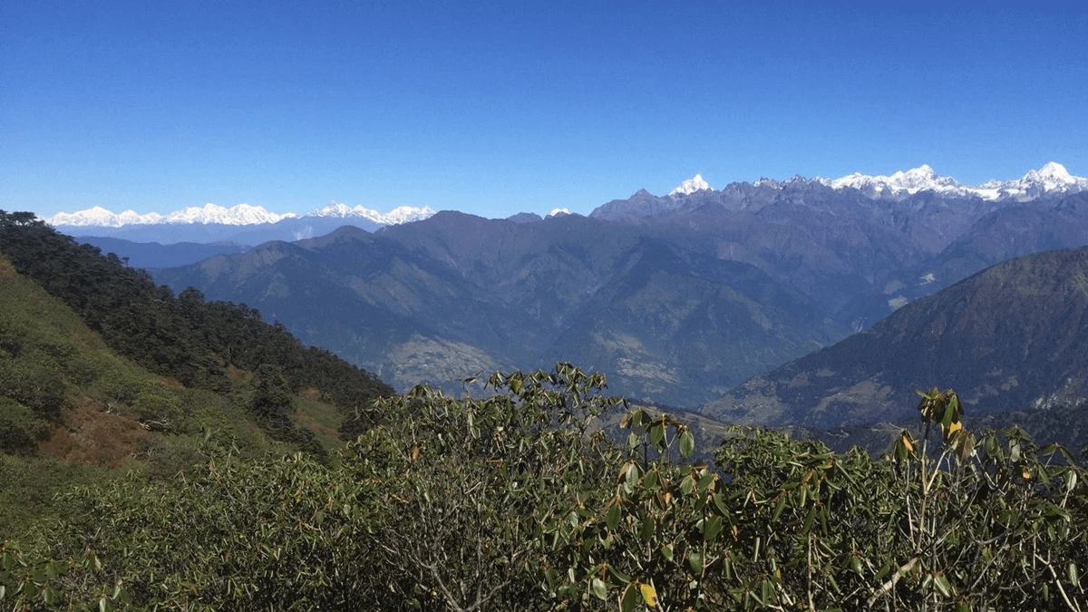 Pikey Peak Trek