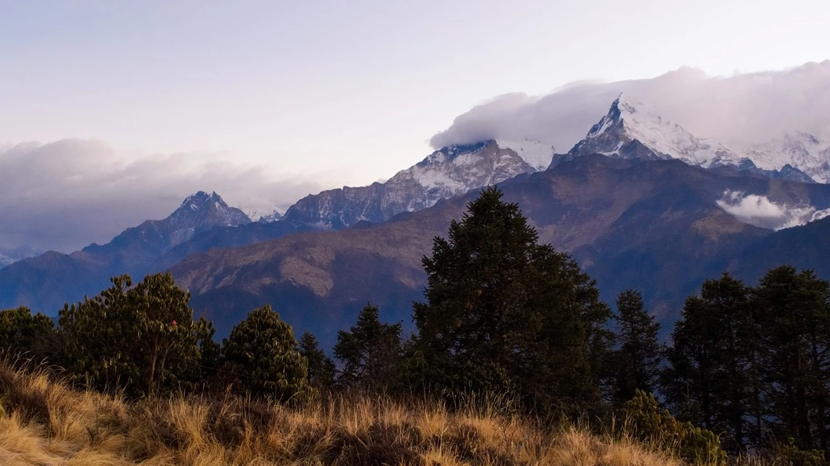 Snow-capped Himalayas with lush green trees and floating clouds in Annapurna Base Camp