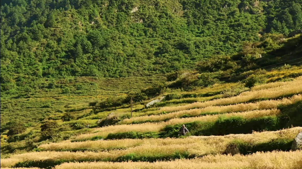 Tamang Heritage Trail Trekking