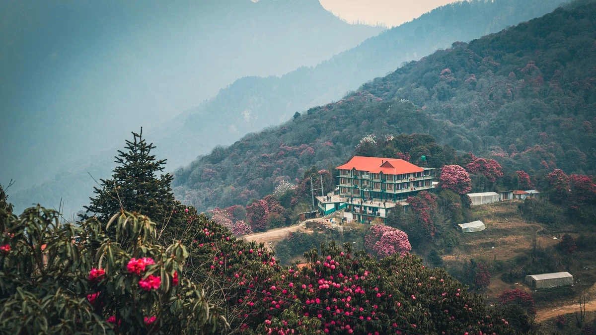 Traditional large teahouse surrounded by colorful rhododendron forest in Poon Hill