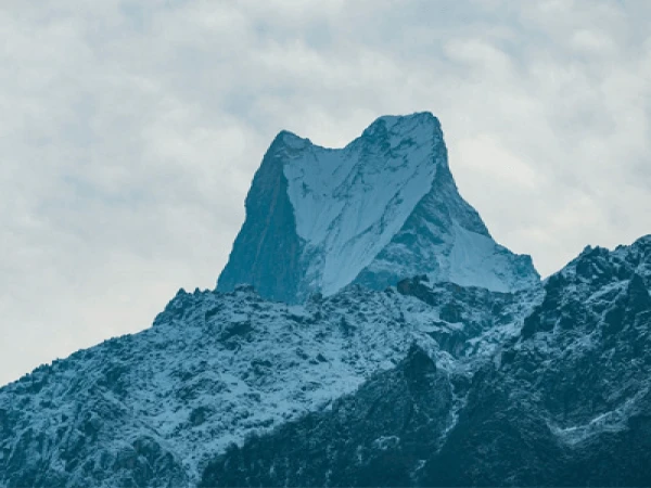 Picture of Annapurna peak by a trekker while doing 7 Days Annapurna Base Camp