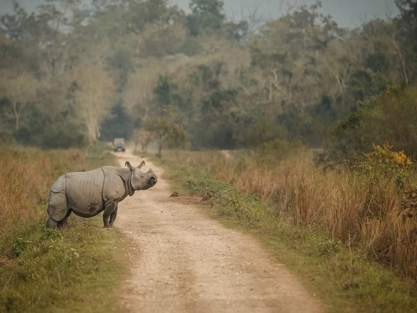 Chitwan National Park Tour - 4 Days
