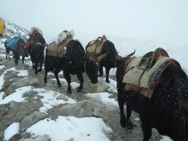 Everest Base Camp 6 2