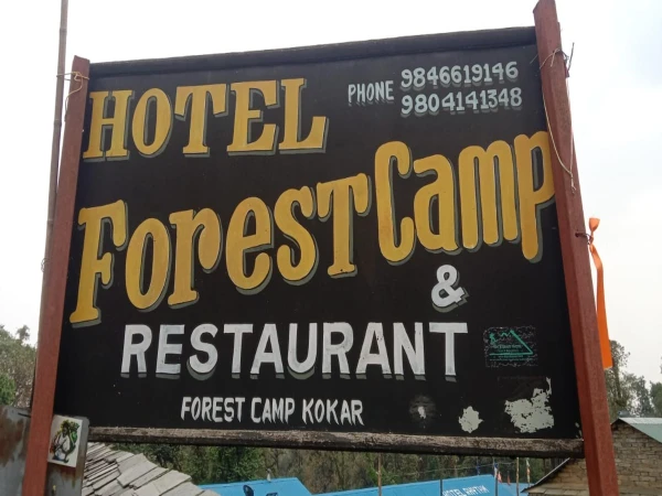 Forest Camp (1)