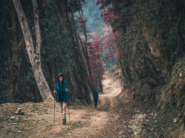 Trekkers On The Trail (1)