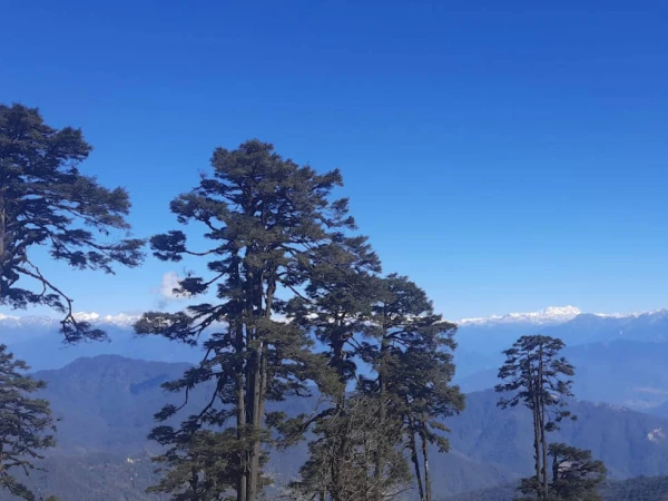 View From Bhutan