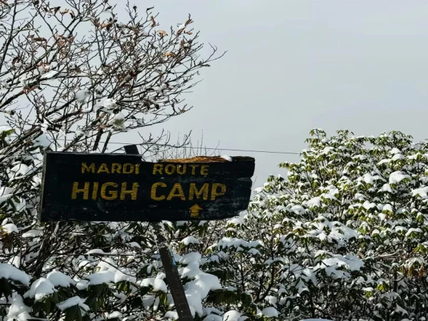 Mardi Himal Trek 5 Days